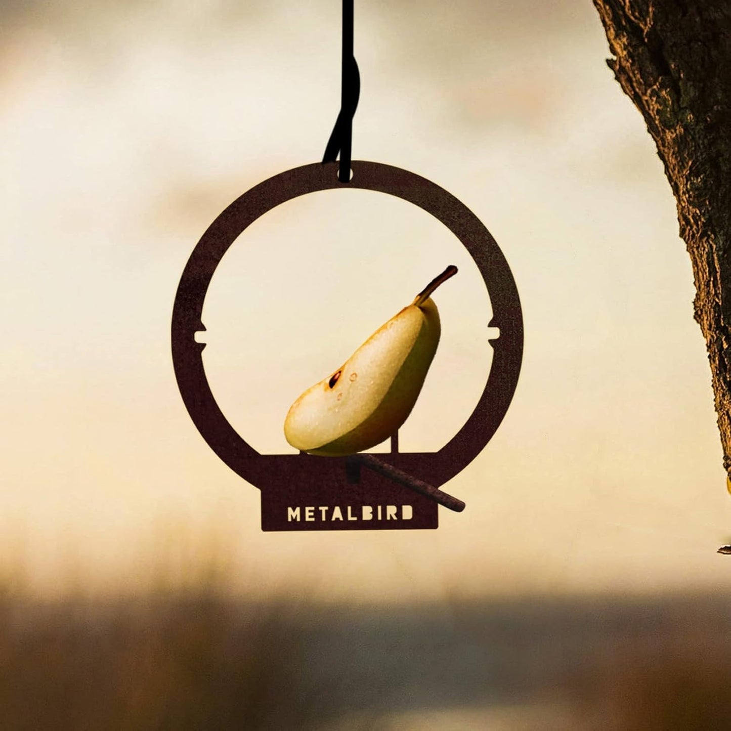 METALBIRD - Hanging Bird Feeder - Outdoor Tree Ornaments in Corten Steel - Metal Art Proudly Made in America