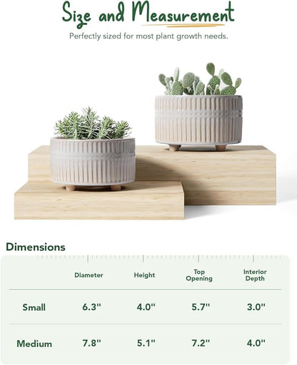 LE TAUCI Succulent Pots, 6.5+8 Inch Ceramic Indoor Plant Pot with Drainage Hole, Shallow Round Succulent Planters, Set of 2, Reactive Glaze Star White