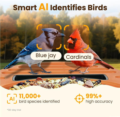 Smart Bird Feeder with Camera, 2.5K UHD Bird Feeder Camera Solar Powerd, Sensitive AI Identification, Instant Alerts Capture Video, IP66 Waterproof for Outdoor, Ideal Gift, Green