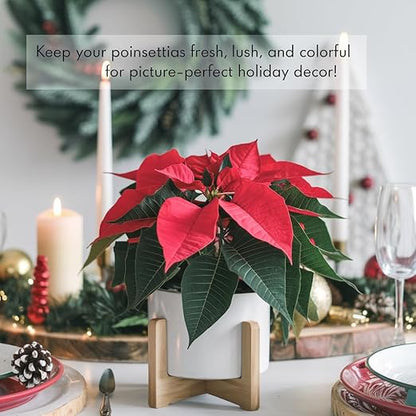 Gardenera Poinsettia Plant Fertilizer - 3-1-2 NPK - Organic Liquid Plant Food for Christmas Flowers and Trees - 32oz Concentrate