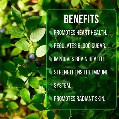 Pink Lemonade Blueberry (Biloxi)