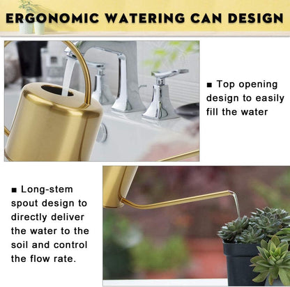 Remiawy Watering Can Indoor Outdoor Stainless Steel Watering Cans for House Plants Long Spout Water Can for Succulent Bonsai Garden Flower(40oz/1300ml)