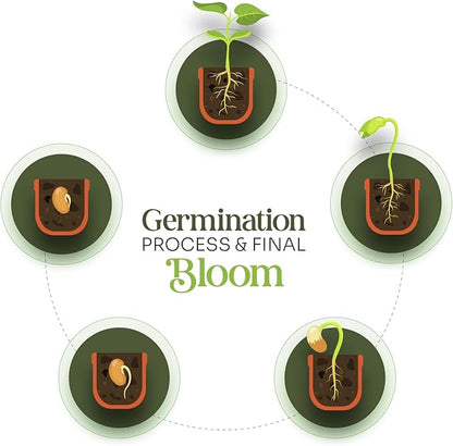 Set of 6 Seed Paper – 6 Pink Hearts & 6 White Pots with Bow for Baby Shower, Gender Reveal, Birthday, & Other Milestone Celebrations