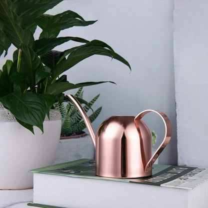 IMEEA Small Watering Can for Indoor Plants Stainless Steel Indoor Watering Can with Long Spout, 15oz/450ml