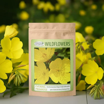 Created By Nature Evening Primrose Seeds, 44,000 Yellow Wildflower Seeds