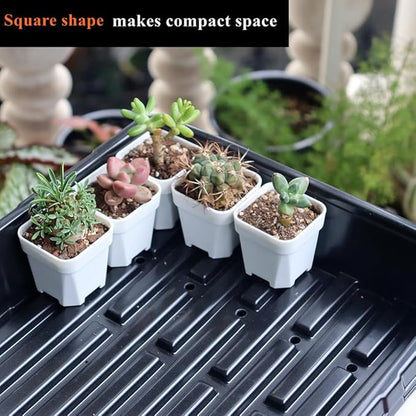BangQiao 200 Pack 1.95 Inch Tiny White Plastic Square Nursery and Seedling Pot, Mini Transplant Seed Starter Planter with Drain Hole for Germination, Herb, Succulent
