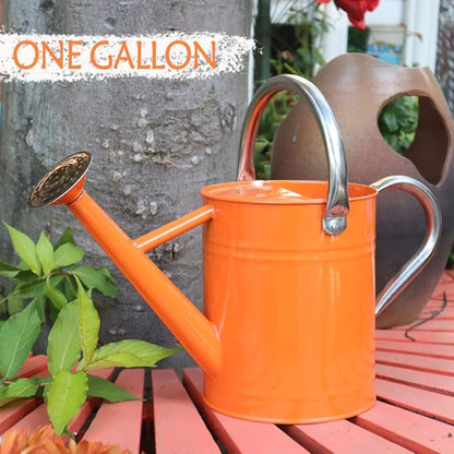 Metal Watering Can, One Gallon Watering Cans Stainless Steel for Outdoor Indoor Garden Plants Watering (Stainless Steel Handle Orange)