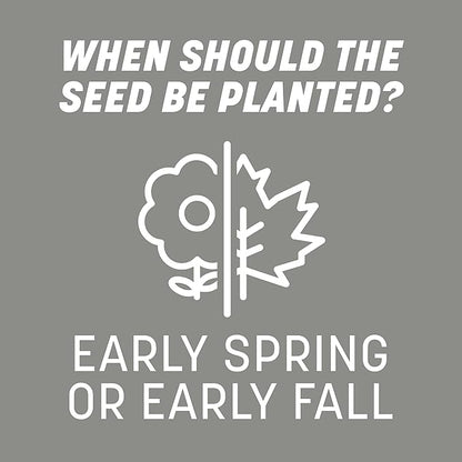 Pennington Contractors Grass Seed Mix Central 7 lb