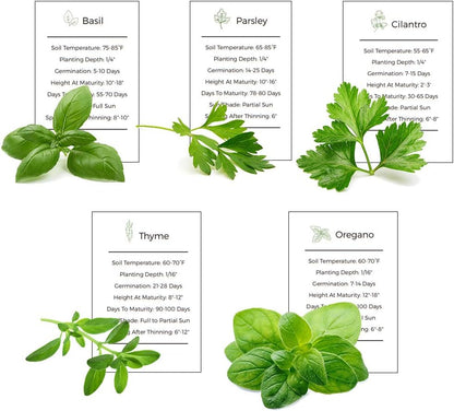 Herb Garden Seeds Collection - 5 Culinary Herb Seeds Pack - Basil, Cilantro, Parsley, Thyme and Oregano Seeds, Heirloom Seeds for Planting
