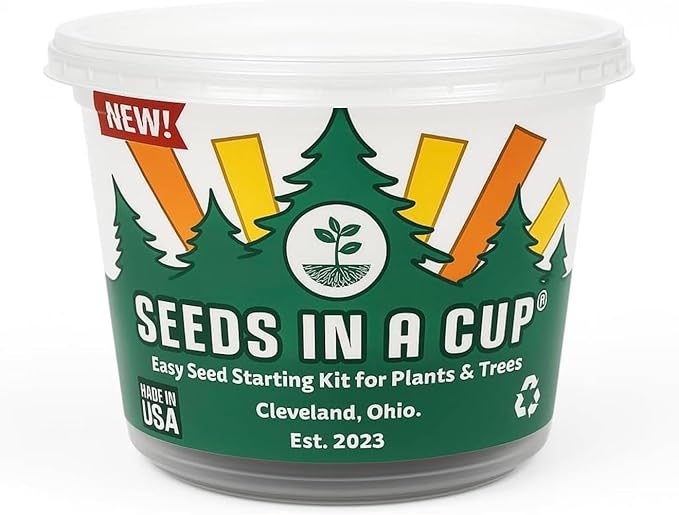 Date Palm | Seeds In A Cup: Date Palm Tree Starter Kit | Easy to use | Educational | Thoughtful Gift | Great Gift Idea | Plant It for The Planet | Grow Your Own Tree |