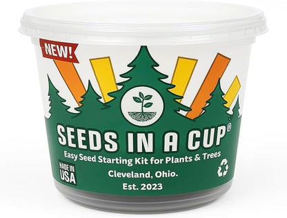 Date Palm | Seeds In A Cup: Date Palm Tree Starter Kit | Easy to use | Educational | Thoughtful Gift | Great Gift Idea | Plant It for The Planet | Grow Your Own Tree |