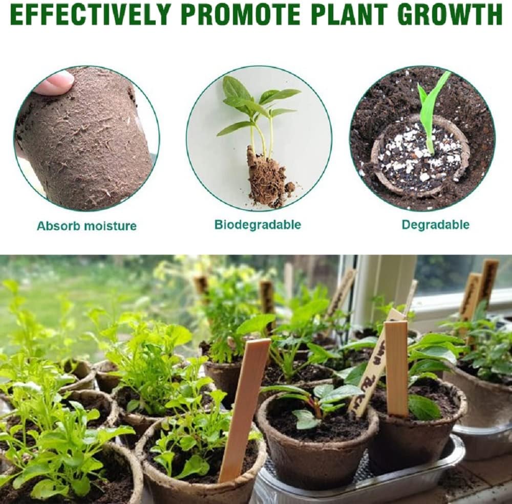 3T GROUP 50 Pcs 3 Inch Small Plant Pots,Compostable Flower Pots for Plants,Biodegradable Seed Pots,Disposable Planting Peat Pot Cups with Labels for Vegetables,Fruit