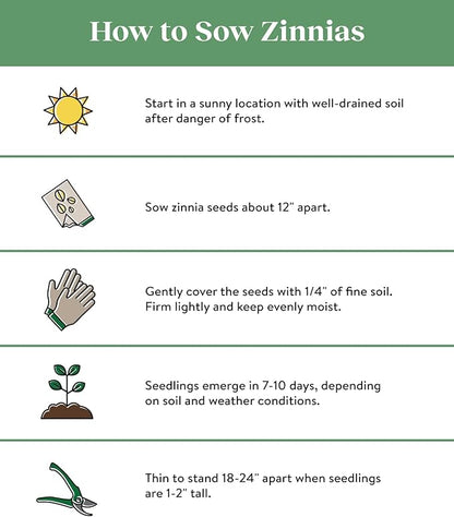 Burpee Cut & Come Again Zinnia Seeds 175 seeds