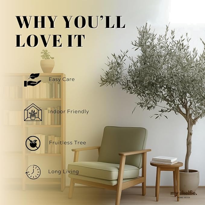 Dwarf Olive Tree Starter Plant, 2 Inch Pot, Indoor Outdoor Bonsai (5)