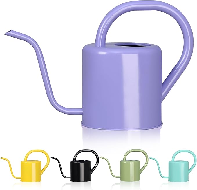 Watering Can, Stainless Steel Watering Can for Indoor & Outdoor Plants, 1L/35oz Long Spout Water Can with Handle, Rust-Proof Plant Watering Pot for House Plants, Garden Flowers