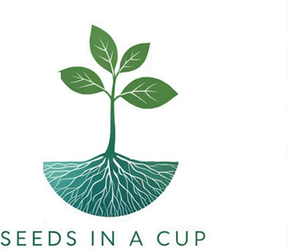 Seeds In A Cup- Tree Growing Kit- Multiple Types of Trees (Sugar Maple)