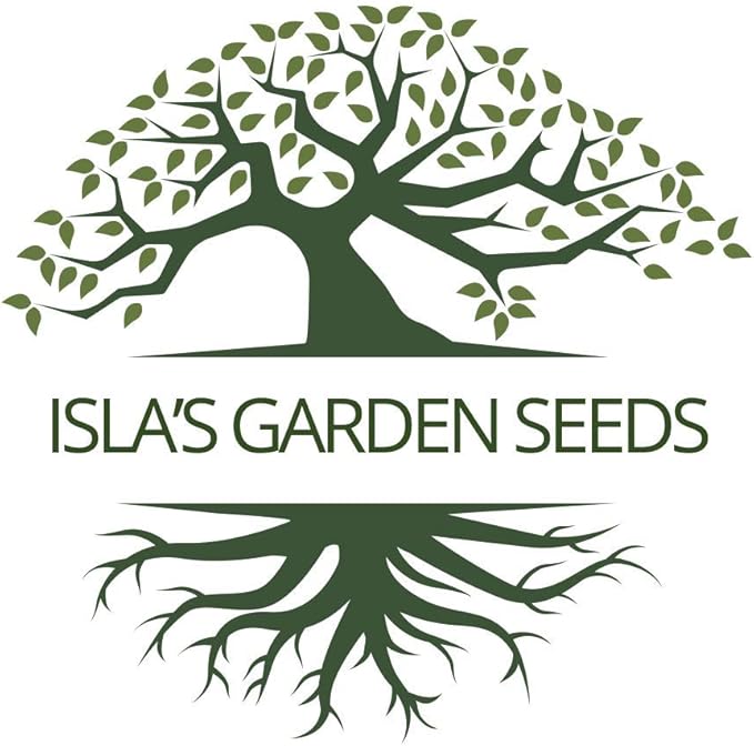 Taylor Dwarf Horticulture Bush Bean Seeds (Phaseolus vulgaris) – 25+ Non-GMO Heirloom Cranberry Bean Seeds, 85% Germination Rate, by Isla’s Garden Seeds, Great for Cooking & Small Gardens