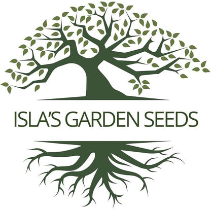 Taylor Dwarf Horticulture Bush Bean Seeds (Phaseolus vulgaris) – 25+ Non-GMO Heirloom Cranberry Bean Seeds, 85% Germination Rate, by Isla’s Garden Seeds, Great for Cooking & Small Gardens