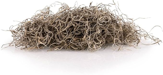Premium Natural Spanish Moss | Natural Preserved - Great Ground Cover - Filler for Potted Plants - by GARDENERA - 1 Quart Bag