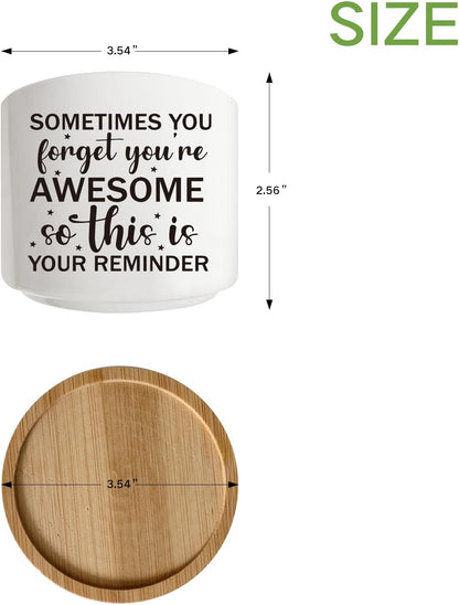 Succulent Cactus Cute Planter Pots with Bamboo Tray, Office Kitchen Home Windowsill Indoor Decor, Gift for Friends Mom Women Coworkers Teachers Plant Lovers