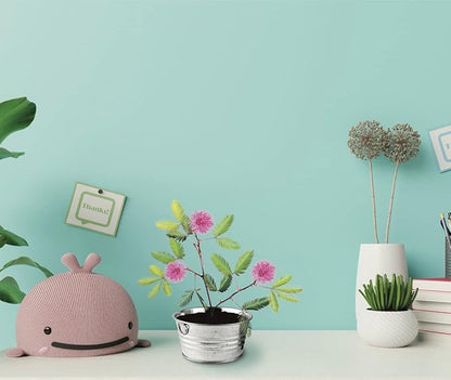 BUZZY Seeds Mini Basin Sensitive Plant Grow Kit, Interactive Leaves Move When Touched, Flower Starter Kit for Kids and Adults | Indoor Gardening Gift, DIY Home Project