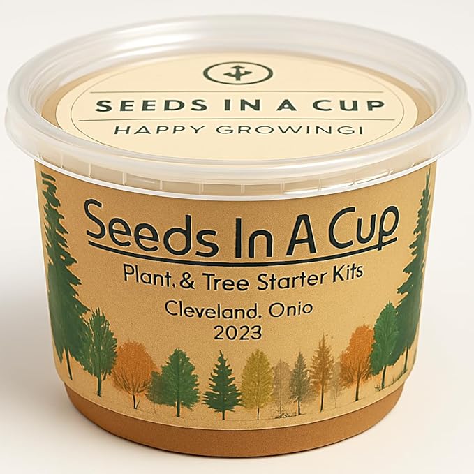 Date Palm | Seeds In A Cup: Date Palm Tree Starter Kit | Easy to use | Educational | Thoughtful Gift | Great Gift Idea | Plant It for The Planet | Grow Your Own Tree |