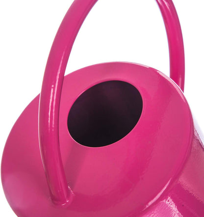 Metal Watering Can 51 Ounce Modern Style Watering Pot with Handle and Long Spout, Rose