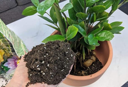 Gardenera Premium ZZ Plant Organic Potting Blend - Sustainable Growth & Revitalized Soil Ecosystem - 5 QUARTS