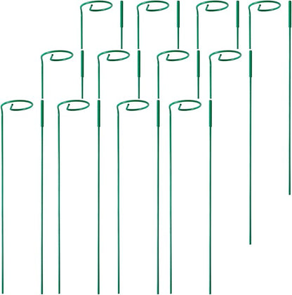 12 Pack Plant Stakes,Plant Support Stakes for Two Sizes(16 or 32 Inches),Plant Stakes for Outdoor Plants,Garden Flower,Tomato(Green)