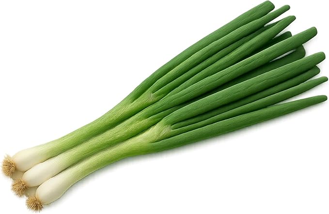 Herb Seedlings: Ready-to-Plant Seedlings, Starts, Plugs, Garden-Ready, Live Plants, Transplants, Pre-sprouted, for Soil & Hydroponic Gardens (XL (120 seedlings))