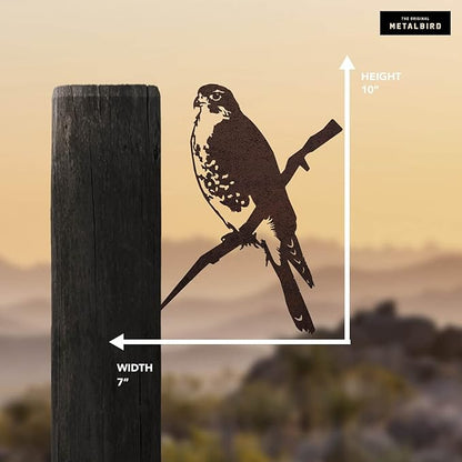 METALBIRD - Peregrine Falcon - Outdoor Tree Ornaments in Corten Steel - Metal Art Proudly Made in The USA