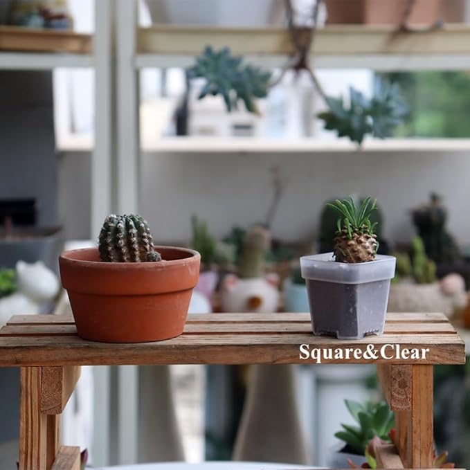 BangQiao 200 Pack 1.95 Inch Tiny Clear Plastic Square Nursery and Seedling Pot, Mini Transplant Seed Starter Planter with Drain Hole for Germination, Herb, Succulent