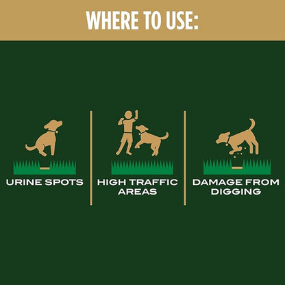 Scotts EZ Seed Dog Spot Repair for Tall Fescue Lawns, Combination Mulch, Grass Seed and Soil Amendment to Neutralize and Repair Pet Damage in Lawns, 2 lb