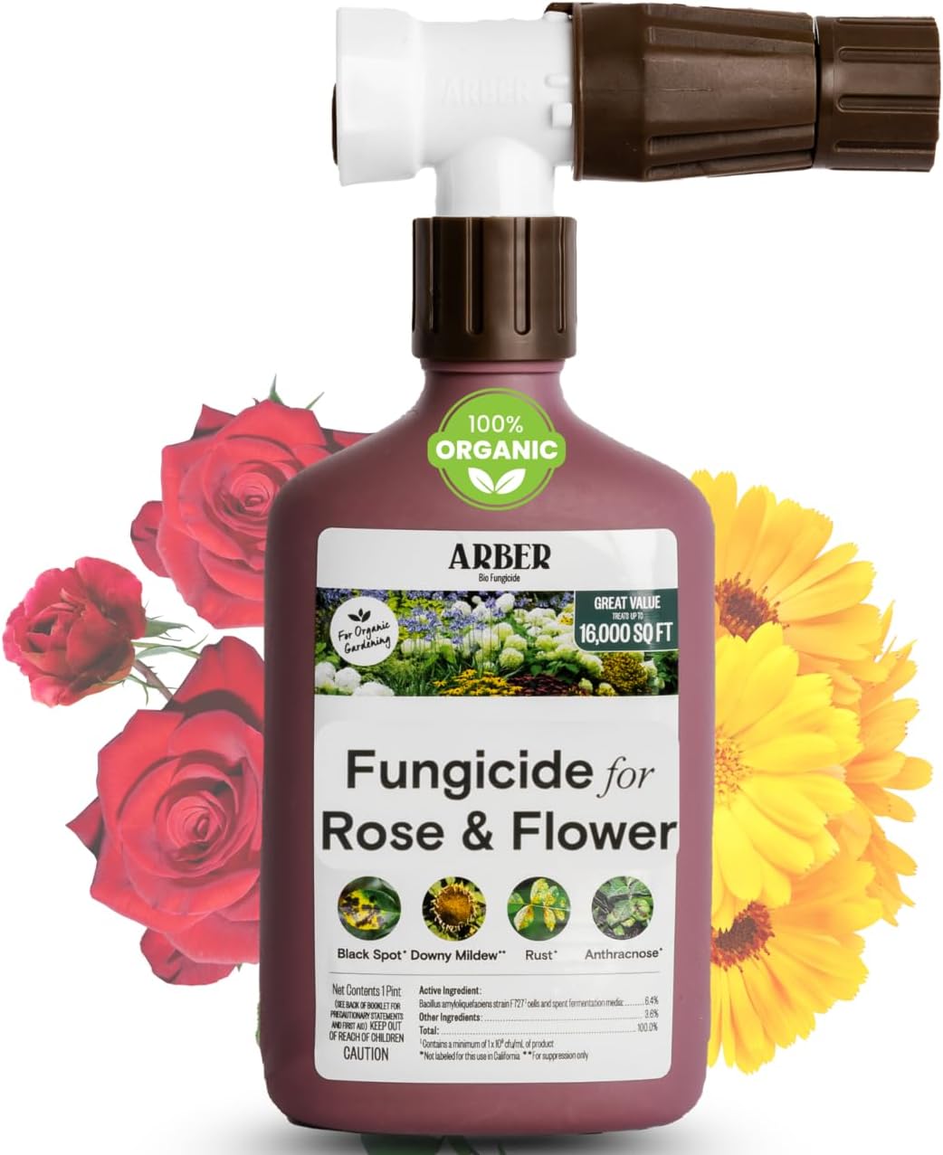 Organic Fungicide for Rose & Flower | 16oz Ready-to-Spray | Controls Powdery Mildew, Black Spot, and Blight | Safe for Organic Gardening