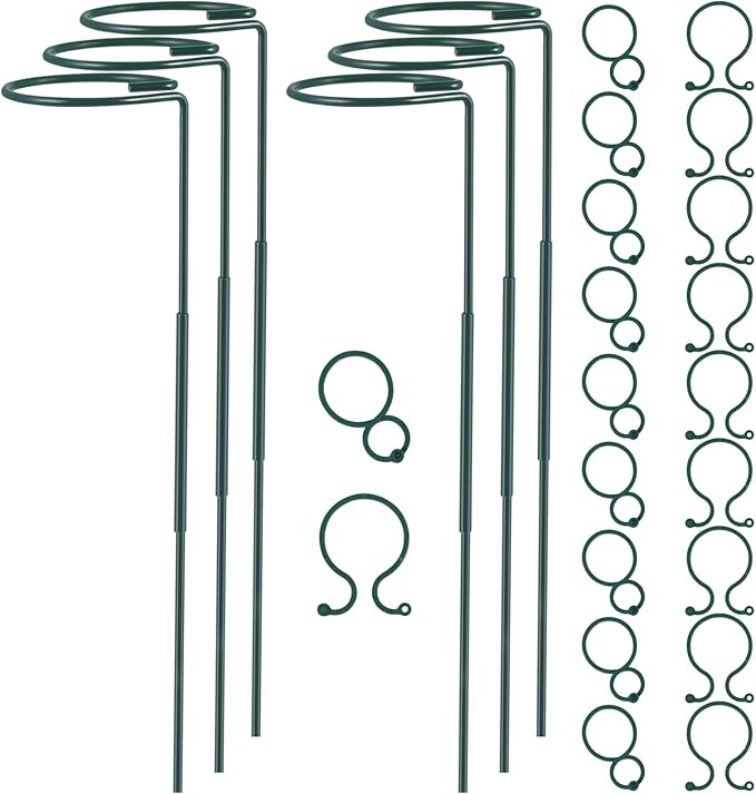 Plant Stake Support - 6 Pack Adjustable Height 16" or 30", Garden Support Stake Plant Cage Support Rings, Single Stem Plant Support Stakes, for Flowers Amaryllis Tomatoes Peony Lily Rose (30inch)