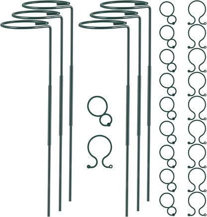 Plant Stake Support - 6 Pack Adjustable Height 16" or 30", Garden Support Stake Plant Cage Support Rings, Single Stem Plant Support Stakes, for Flowers Amaryllis Tomatoes Peony Lily Rose (30inch)