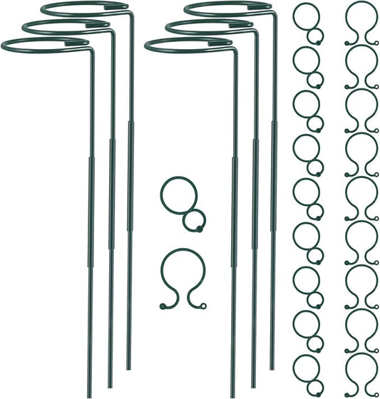 Plant Stake Support - 6 Pack Adjustable Height 16" or 30", Garden Support Stake Plant Cage Support Rings, Single Stem Plant Support Stakes, for Flowers Amaryllis Tomatoes Peony Lily Rose (30inch)