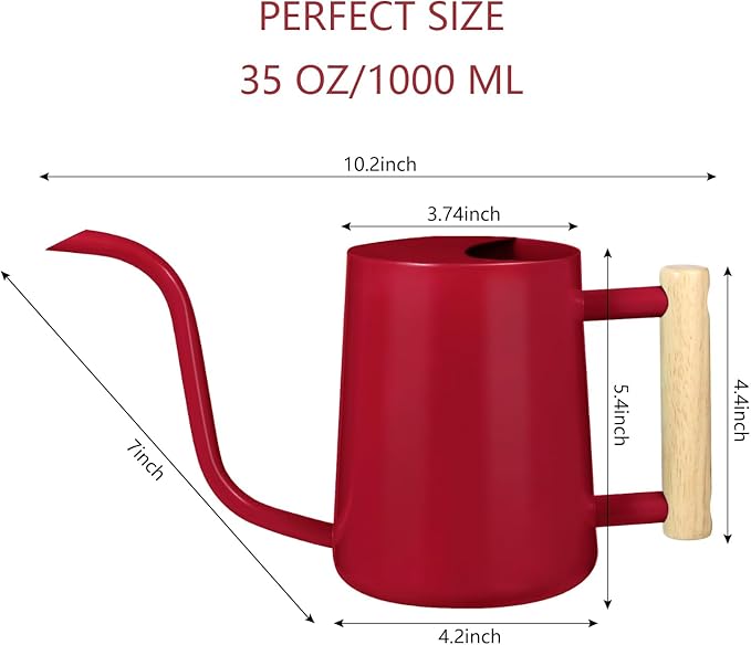 Watering Can Indoor Plants, 35oz Small Stainless Steel Metal Watering Can Modern Decorative Watering Pot with Long Spout for Indoor House Plant Bonsai Garden Flowers (Red)