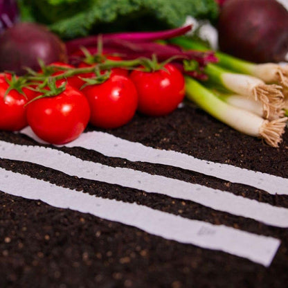 Park Seed Sow Effortless Collection Seed Tape – Gourmet Radish Collection, 15 Feet – Easy DIY Planting, 3 Premium Varieties, Quick-Growing Cool-Season Crop, No Thinning, Ready in 30–60 Days