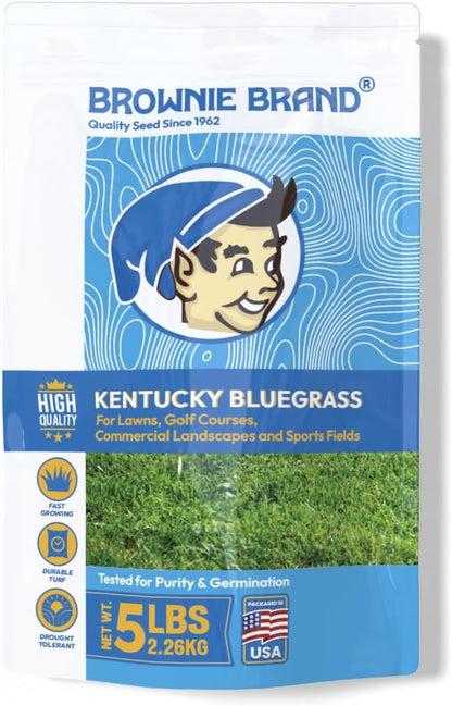 Brownie Brand Kentucky Bluegrass Seed – Premium Lawn Seed for Overseeding, Repairing Bare Spots, and Growing Thick Cool-Season Bluegrass Grass Turf