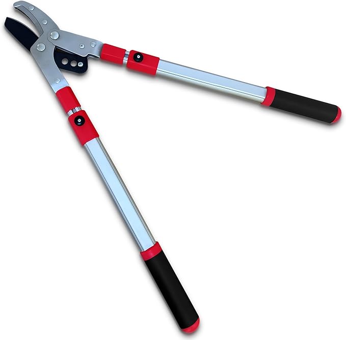 TABOR TOOLS GG22A Telescopic Extendable Anvil Lopper with Compound Action, 27-40 Inch Telescopic Tree Trimmer, Long Handled Branch Cutter with ⌀ 2 Inch Cut Capacity, Chops Thick Branches with Ease.