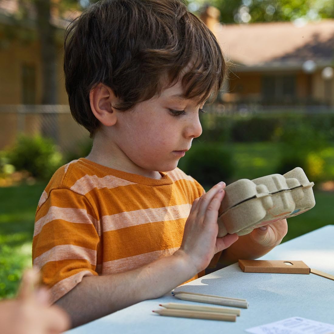 Modern Sprout Curious Critters Garden Activity Kit [3-Pack] Mixed Wildflower Seeds Packet, Butterfly, Ladybug & Bumblebee - Garden Seed Starter Kit - Kids Gardening Set - Sustainable Gardening Gift