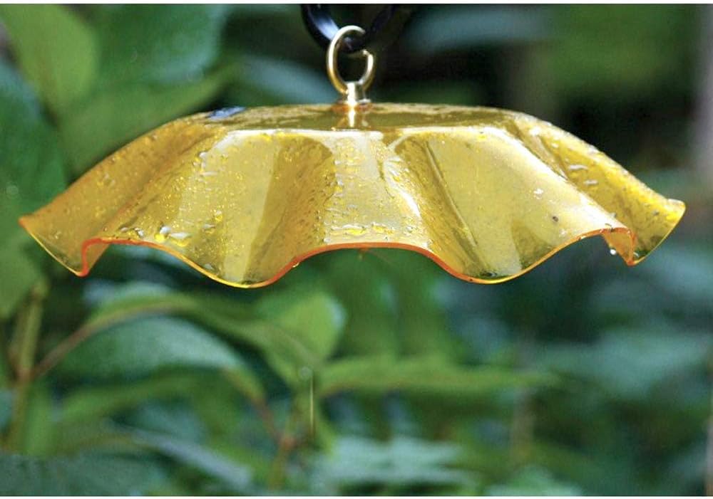 Birds Choice WGYELLOW Weatherguard, Weather-Resistant Acrylic Bird Feeder Weatherguard, 13", Yellow…