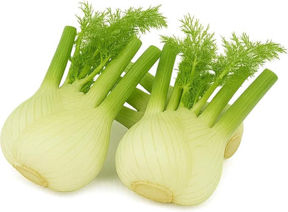 Herb Seedlings: Ready-to-Plant Seedlings, Starts, Plugs, Garden-Ready, Live Plants, Transplants, Pre-sprouted, for Soil & Hydroponic Gardens (Mini (6 seedlings))