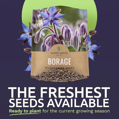 Borage Seeds – Extra Large Packet – Over 1,200 Open Pollinated Non-GMO Wildflower Seeds – Borago officianalis