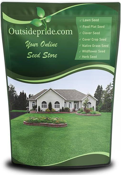 Outsidepride Perennial Buffalo Grass Seed - 2 lbs Heat & Drought Tolerant, Low Maintenance, Warm Season Dense Turf Grass Seed for Lawn, Xeriscape Landscaping, & Roadside Planting