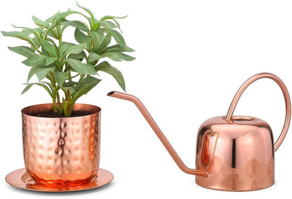 Glytterati - Indoor Watering Can and Planter with Plate.