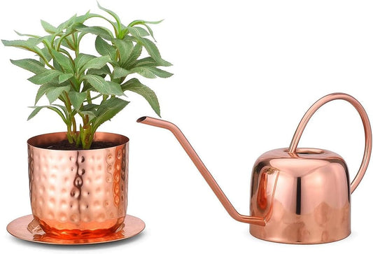 Glytterati - Indoor Watering Can and Planter with Plate.