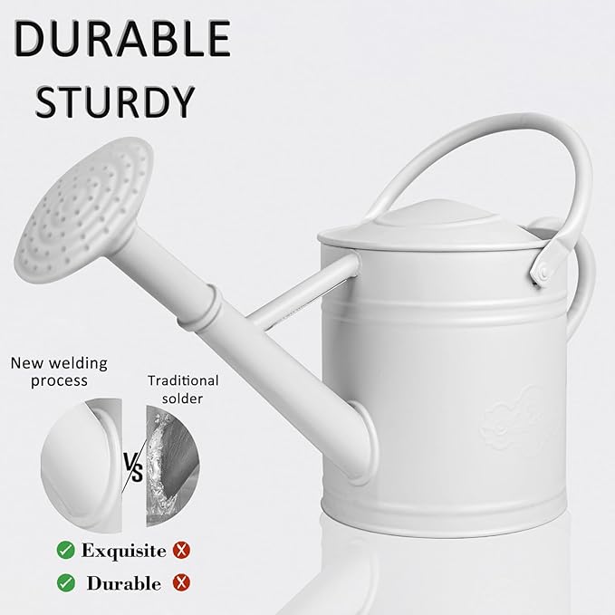 1 Gallon Metal Watering Can for Indoor Plants Outdoor Plants, Large Water Can, Garden Water Can for Kids, Detachable, Water Can with Handle, White