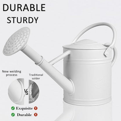 1 Gallon Metal Watering Can for Indoor Plants Outdoor Plants, Large Water Can, Garden Water Can for Kids, Detachable, Water Can with Handle, White